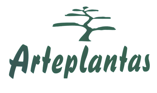 Arteplantas