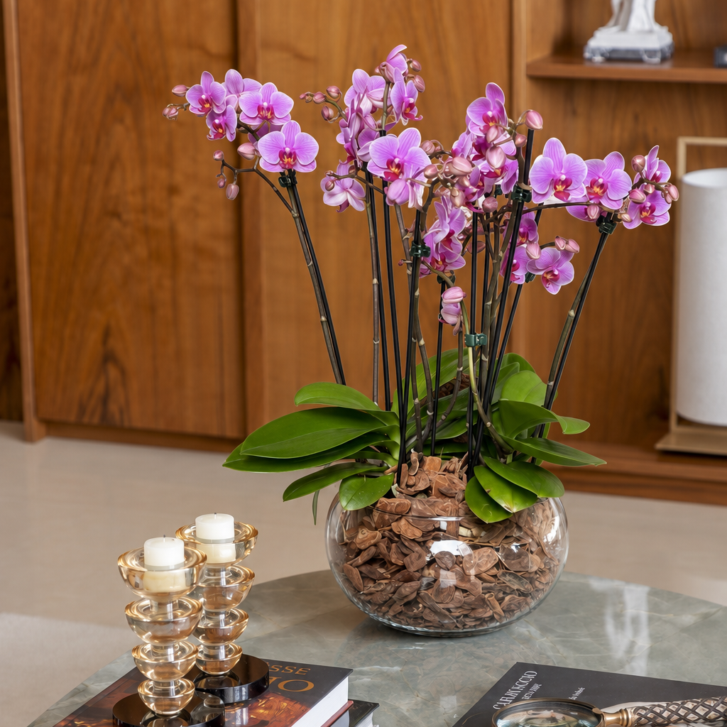 Orquídeas mini lilás com 6 hastes em vaso de vidro